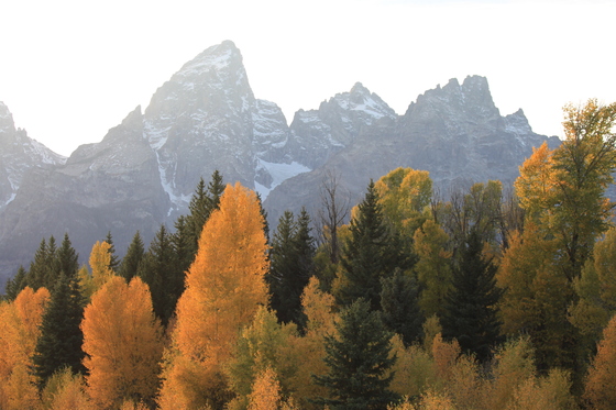 Grand Teton National Park
