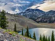 Deschutes National Forest