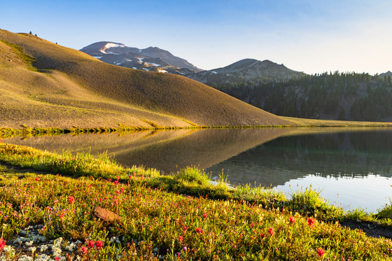 Deschutes National Forest