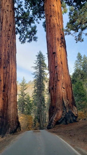 Sequoia National Park