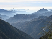 Sequoia Natinoal Park