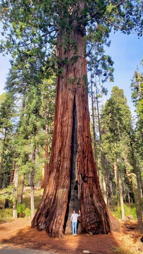 Sequoia National Park