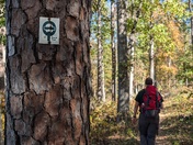 Ozark National Scenic Riverways