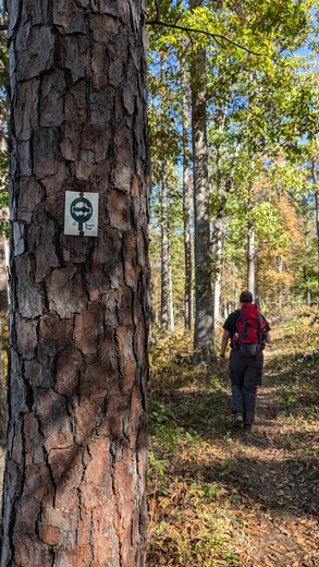 Ozark National Scenic Riverways