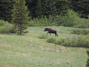 San Juan National Forest
