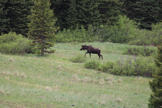 San Juan National Forest