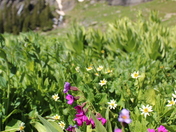 San Juan National Forest