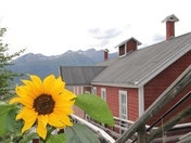 Wrangell-St. Elias National Park