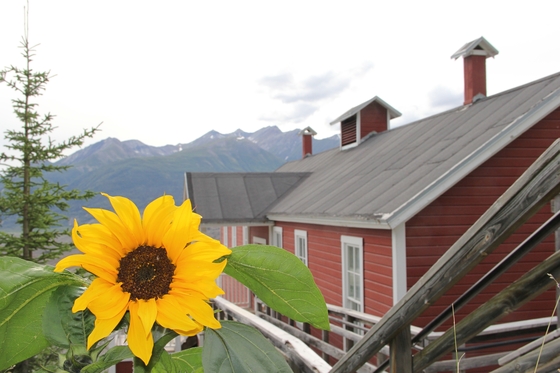 Wrangell-St. Elias National Park