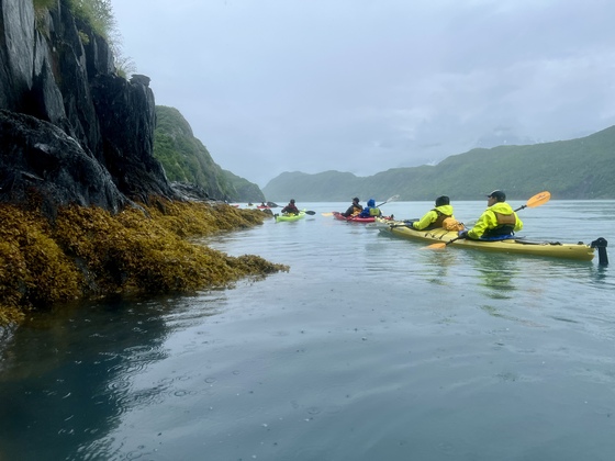 Kenai Fjords National Park