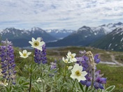 Kenai Fjords National Park