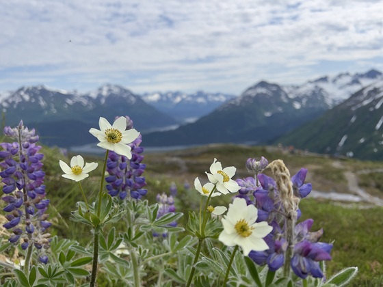 Kenai Fjords National Park