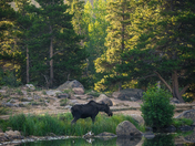 Rocky Mountain National Park