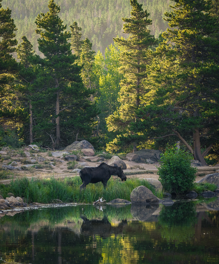 Rocky Mountain National Park