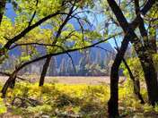 Yosemite National Park