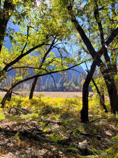 Yosemite National Park