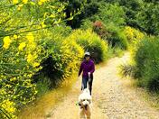 Angeles National forest