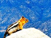 San Bernardino National Forest