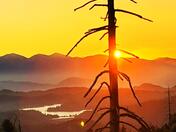 San Bernardino National Forest