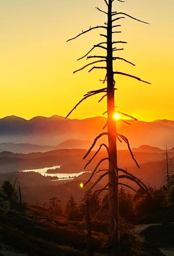 San Bernardino National Forest