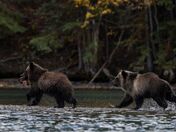 The Chase