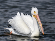 North Padre Island National Seashore