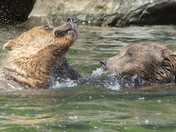 Lake Calrk National Park