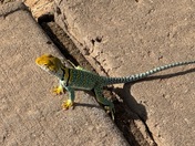 Hovenweep National Monument