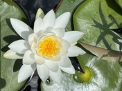 Patuxent Research National Wildlife Refuge and Visitor Center