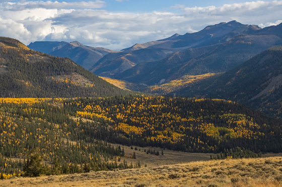 Gunnison National Forest