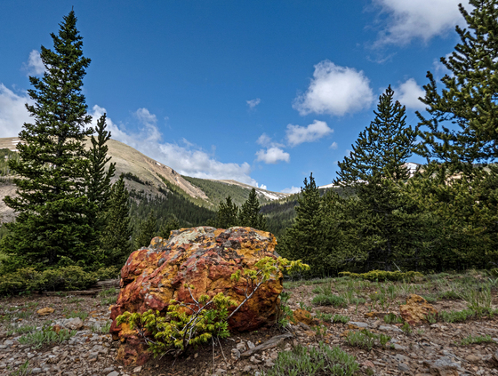 Pike National Forest