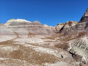 Petrified Forest National Park