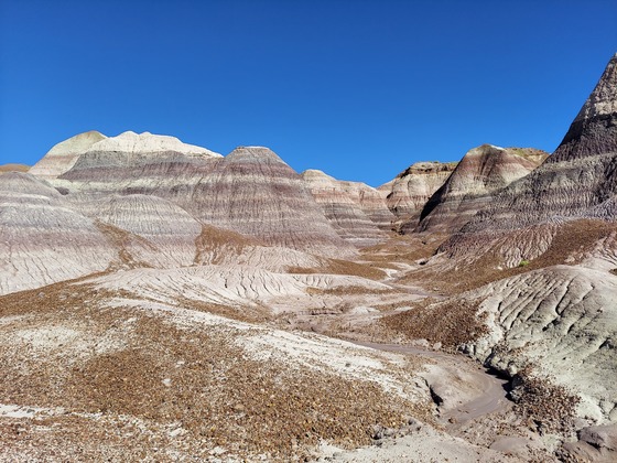 Petrified Forest National Park