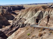 Petrified Forest National Park