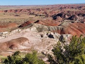 Petrified Forest National Park