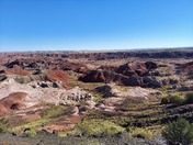 Petrified Forest National Park