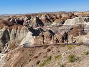 Petrified Forest National Park