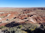 Petrified Forest National Park