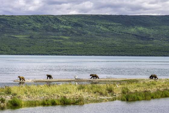 Katmai National Park