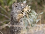 Grand Teton National Park