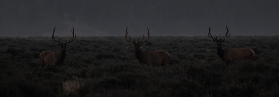 Grand Teton National Park