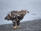 Lake Clark National Park