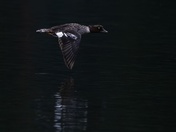 Grand Teton National Park