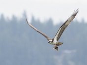 Grand Teton National Park