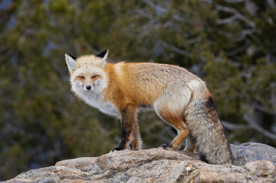 Rocky Mountain National Park