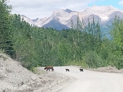 Wrangell-St Elias National Park and Preserve 