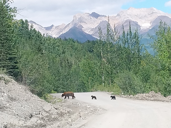 Wrangell-St Elias National Park and Preserve 