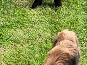 Wrangell-St Elias National Park and Preserve 