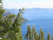 Crater Lake National Park