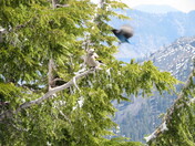 Crater Lake National Park